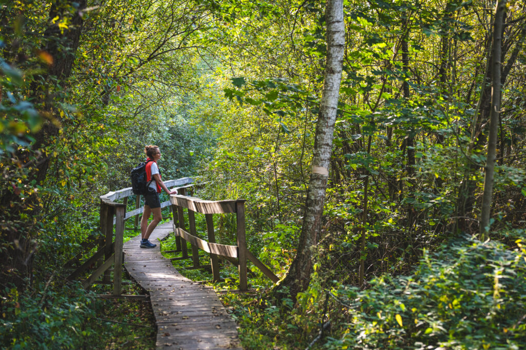 Contemplating nature