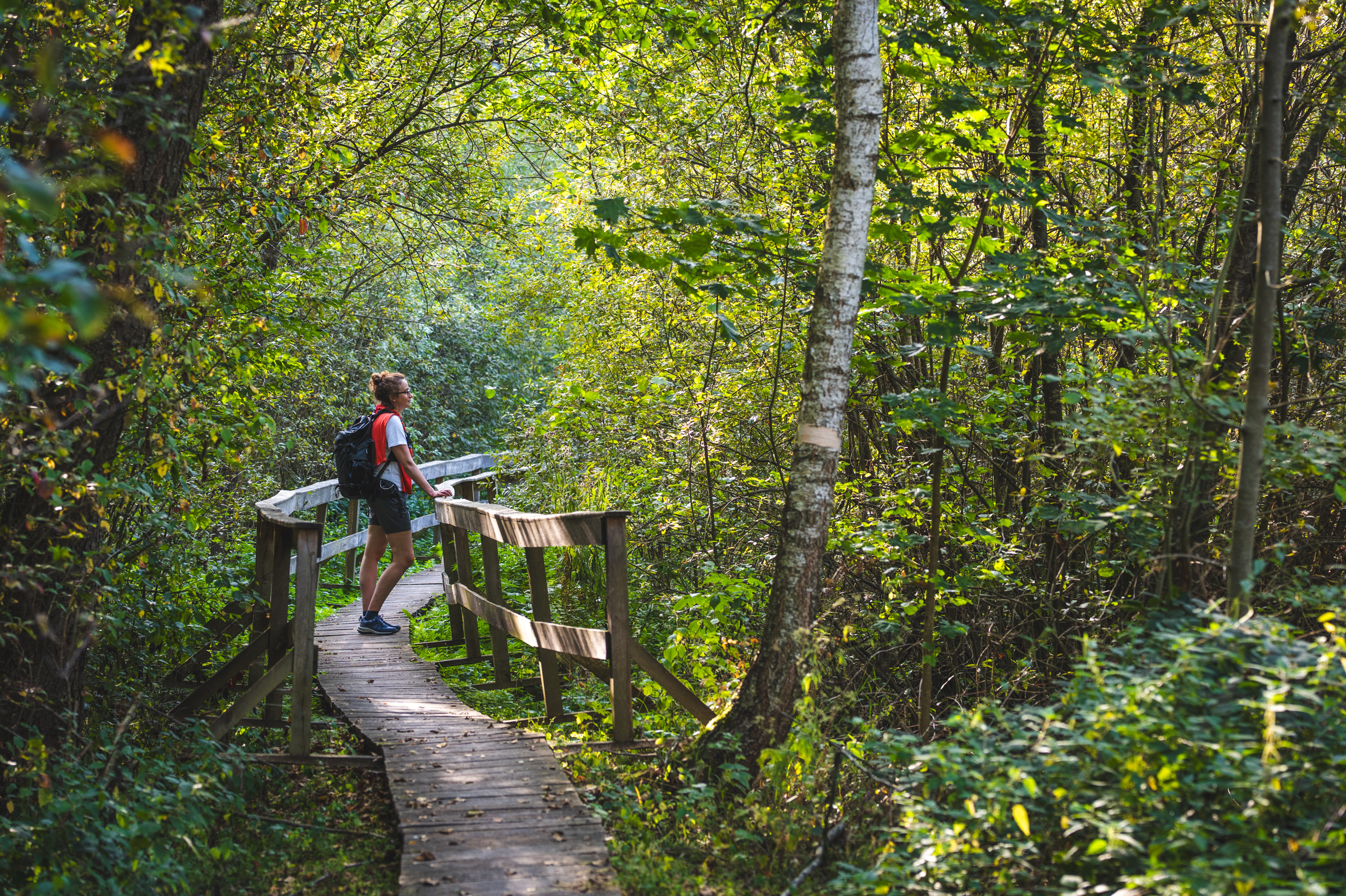 Contemplating nature