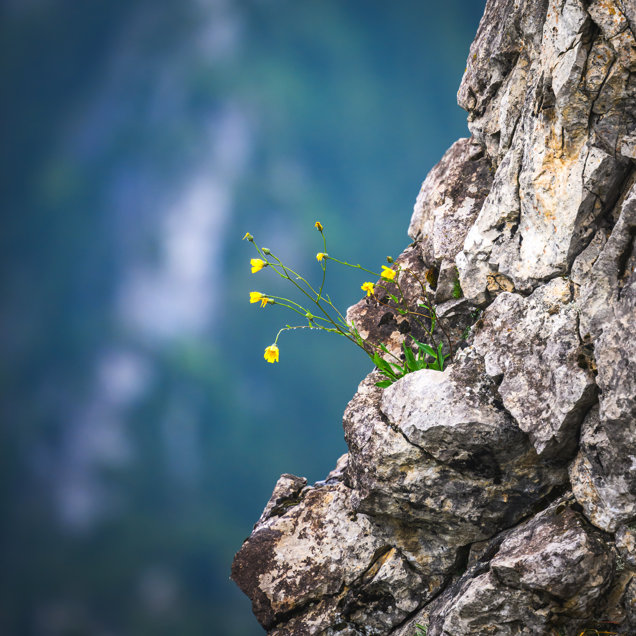 Grasping for life